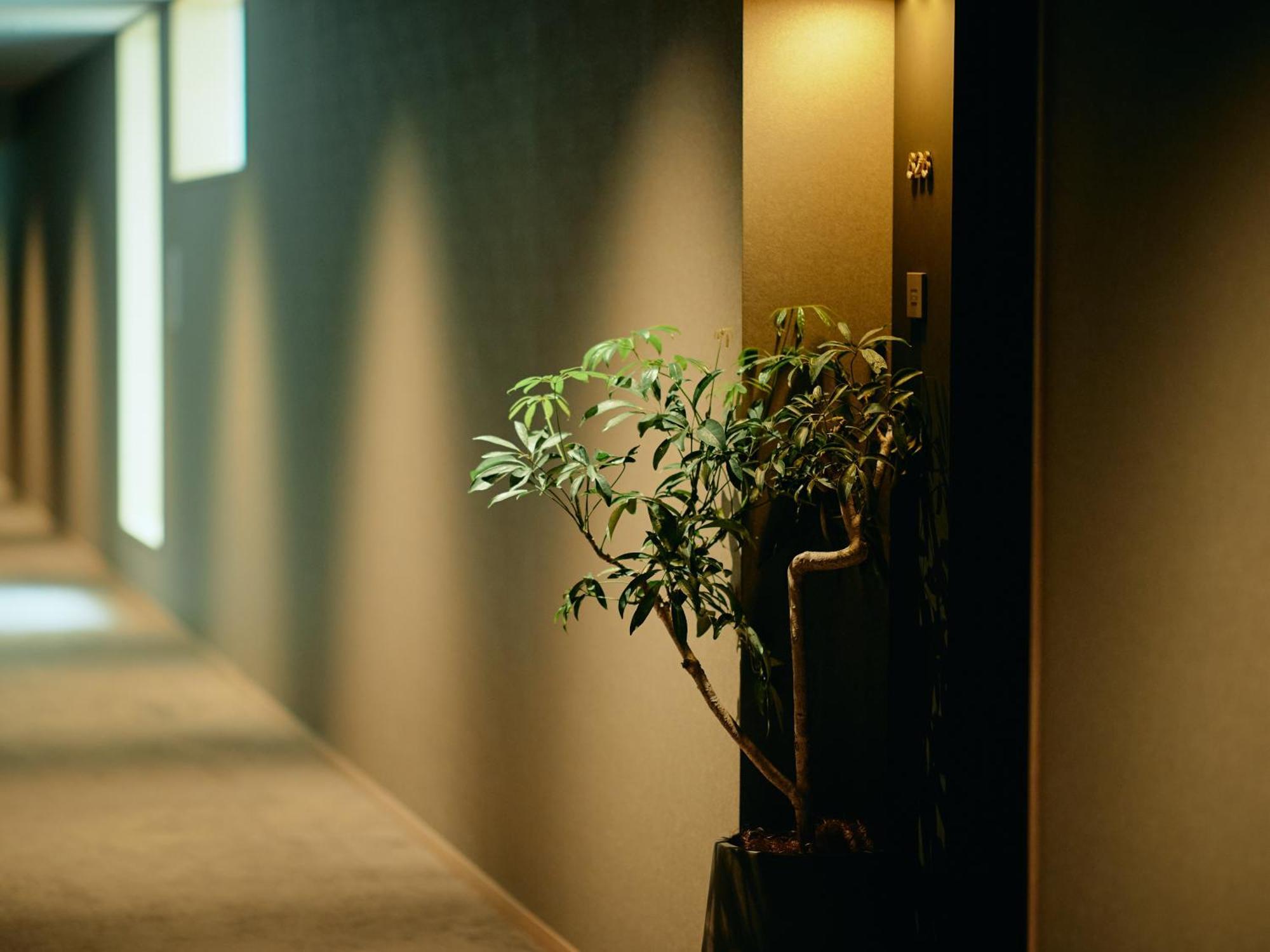 Good Nature Hotel Kyoto Room photo A corridor in a hotel