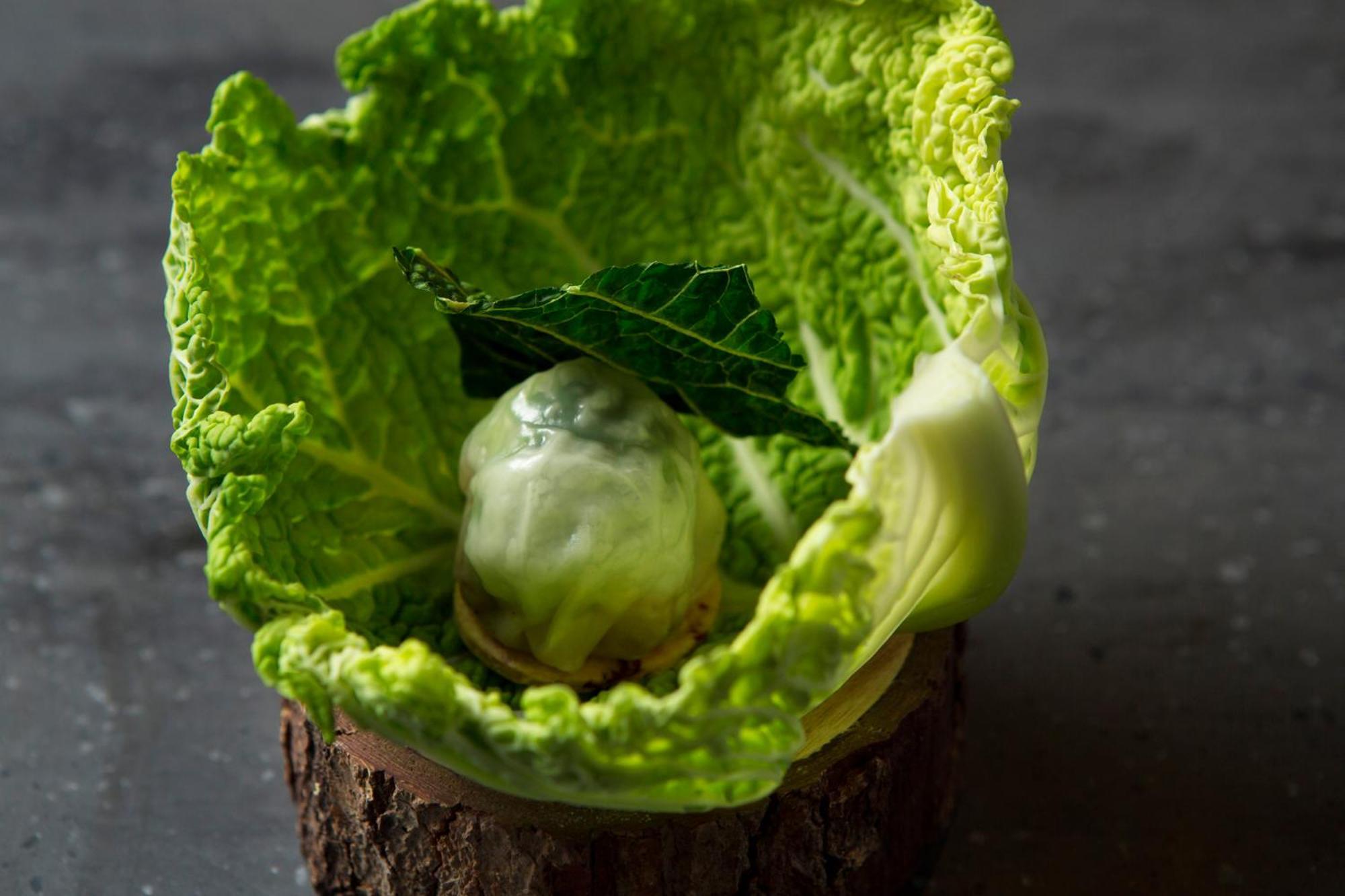 Good Nature Hotel Kyoto Exterior photo A cabbage leaf with a ball of ice